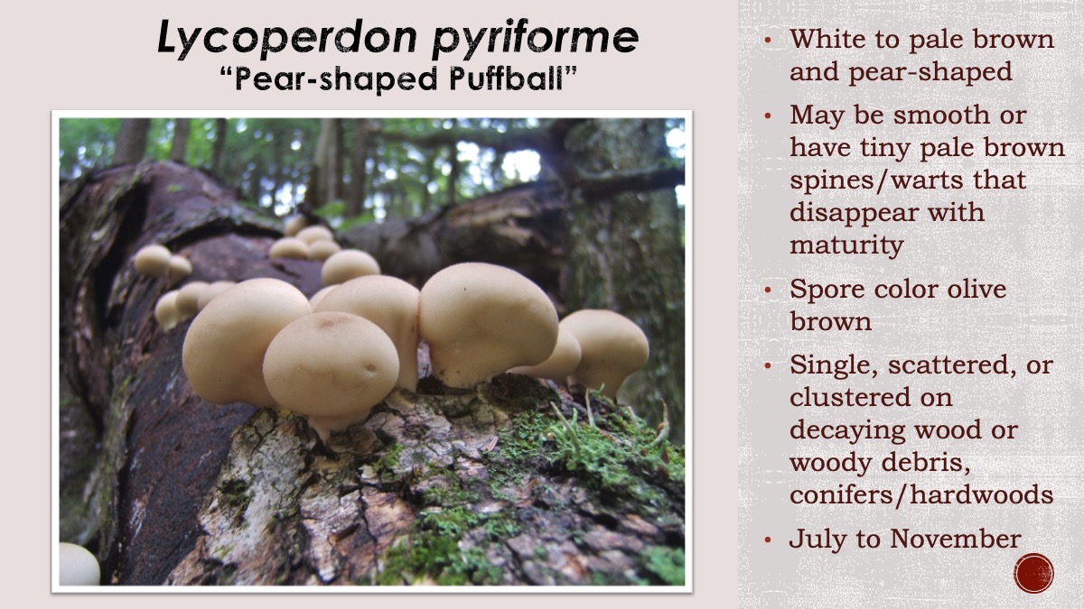 Slide78