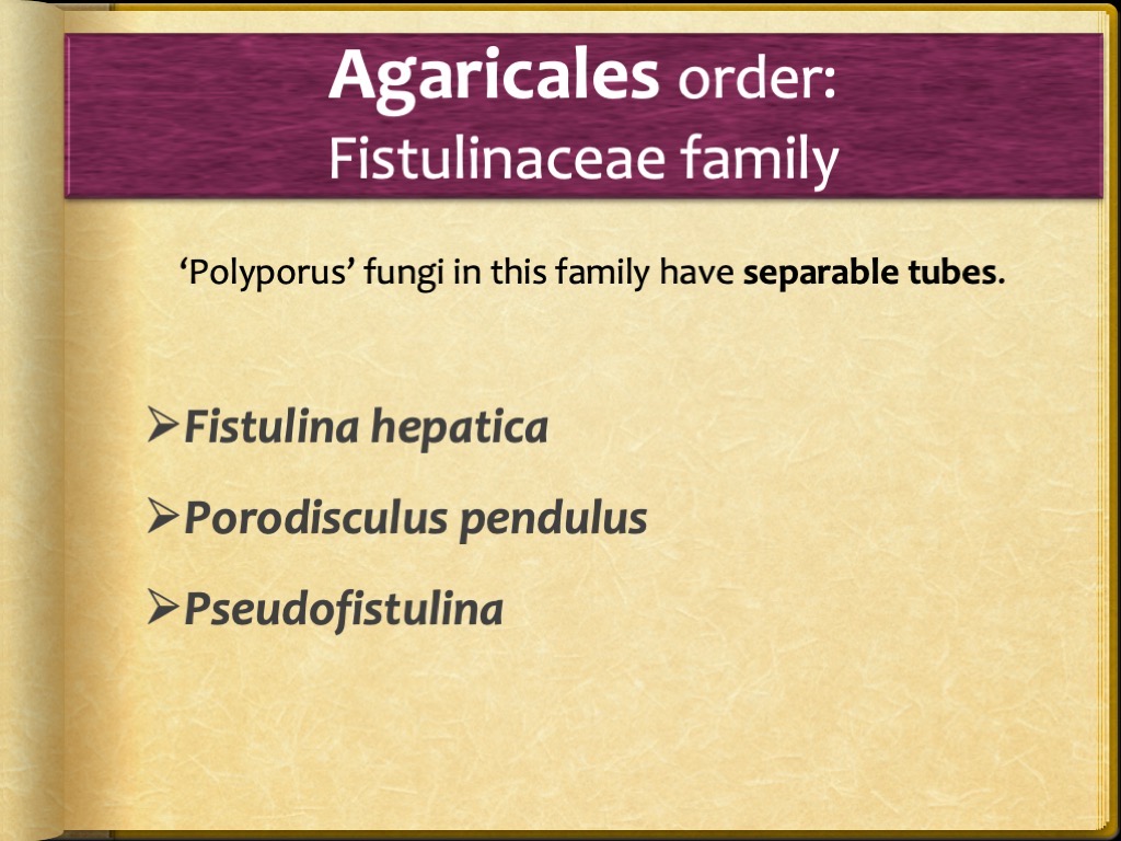 Slide78