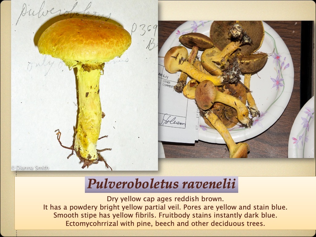 Slide79