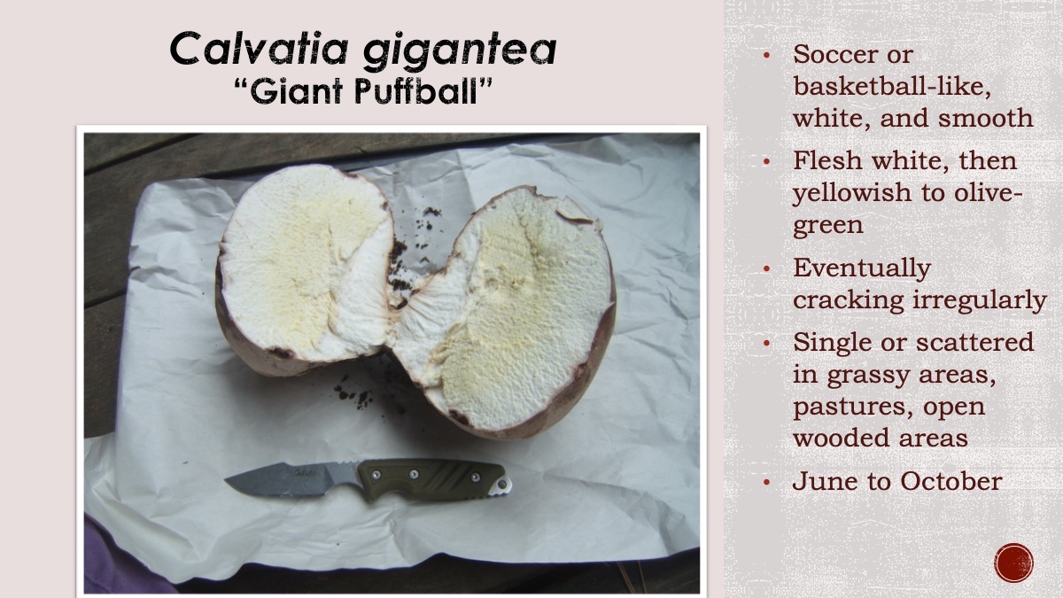 Slide79