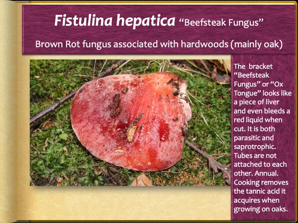 Slide79