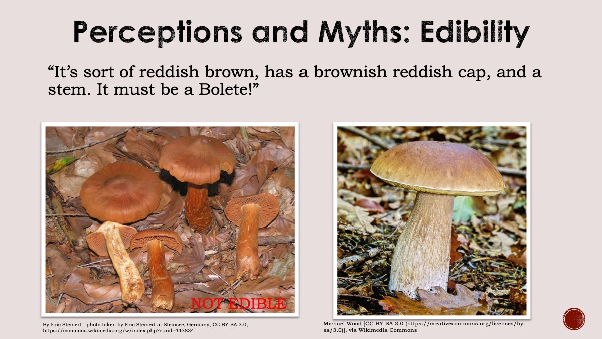 Slide8