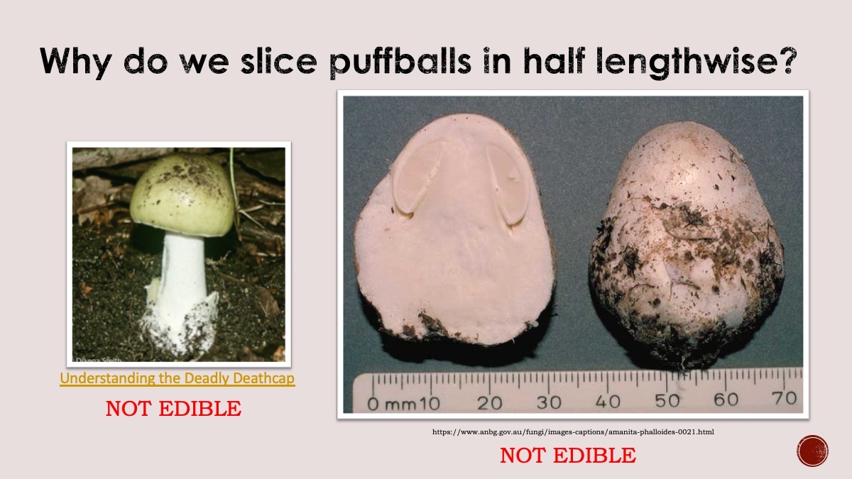 Slide80