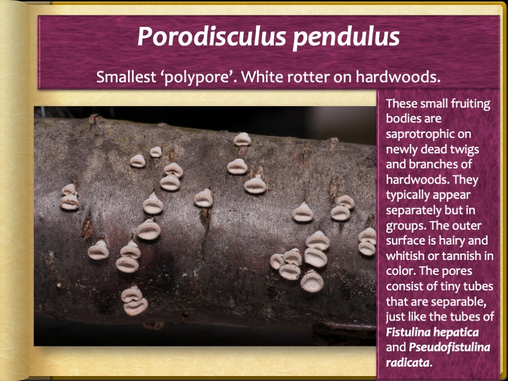 Slide80