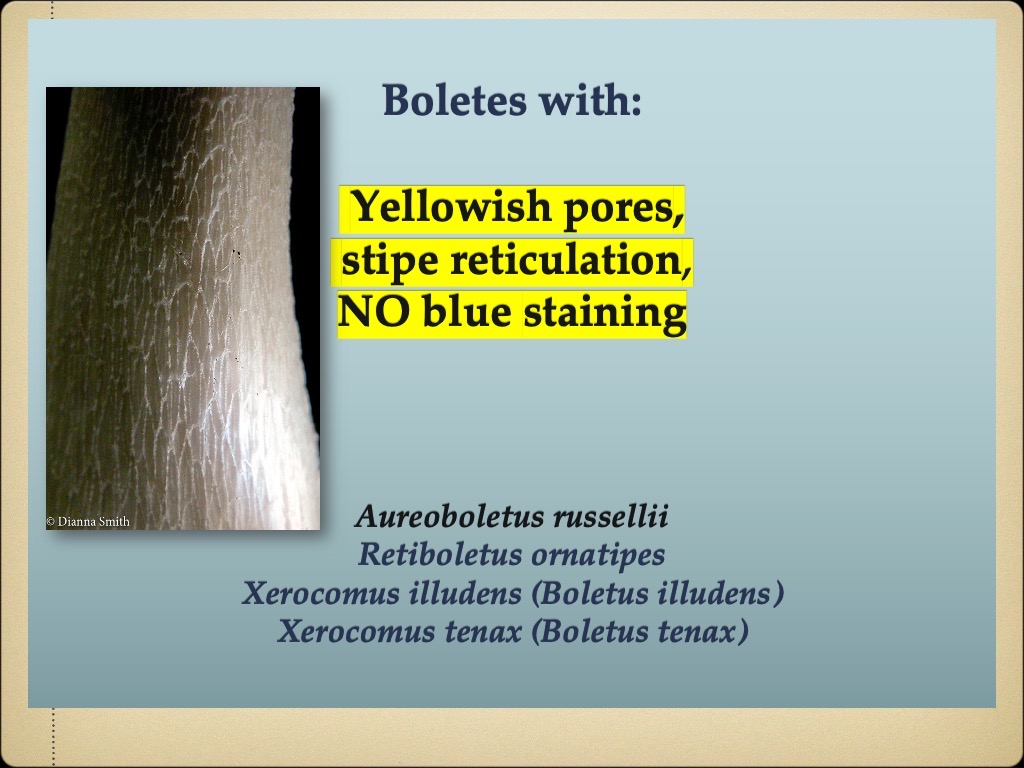 Slide81