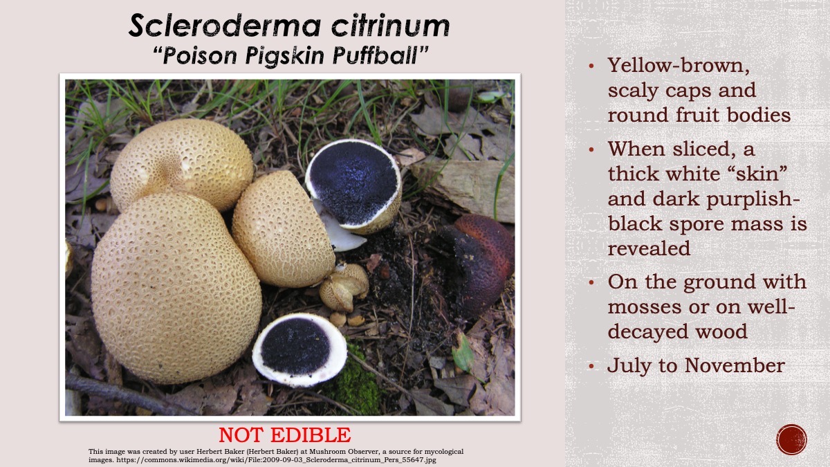 Slide81