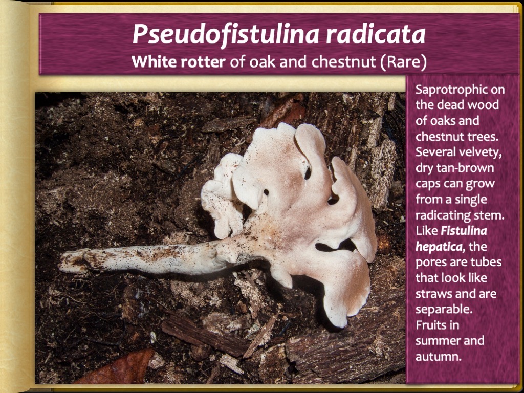 Slide81
