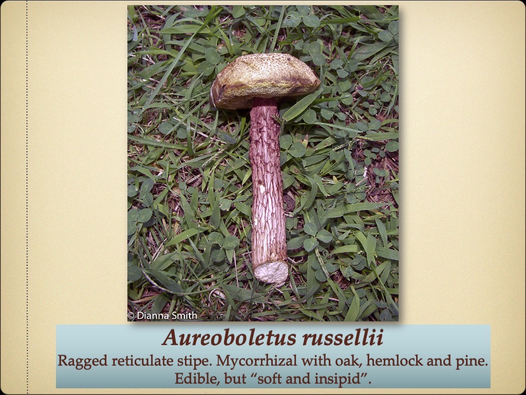 Slide82