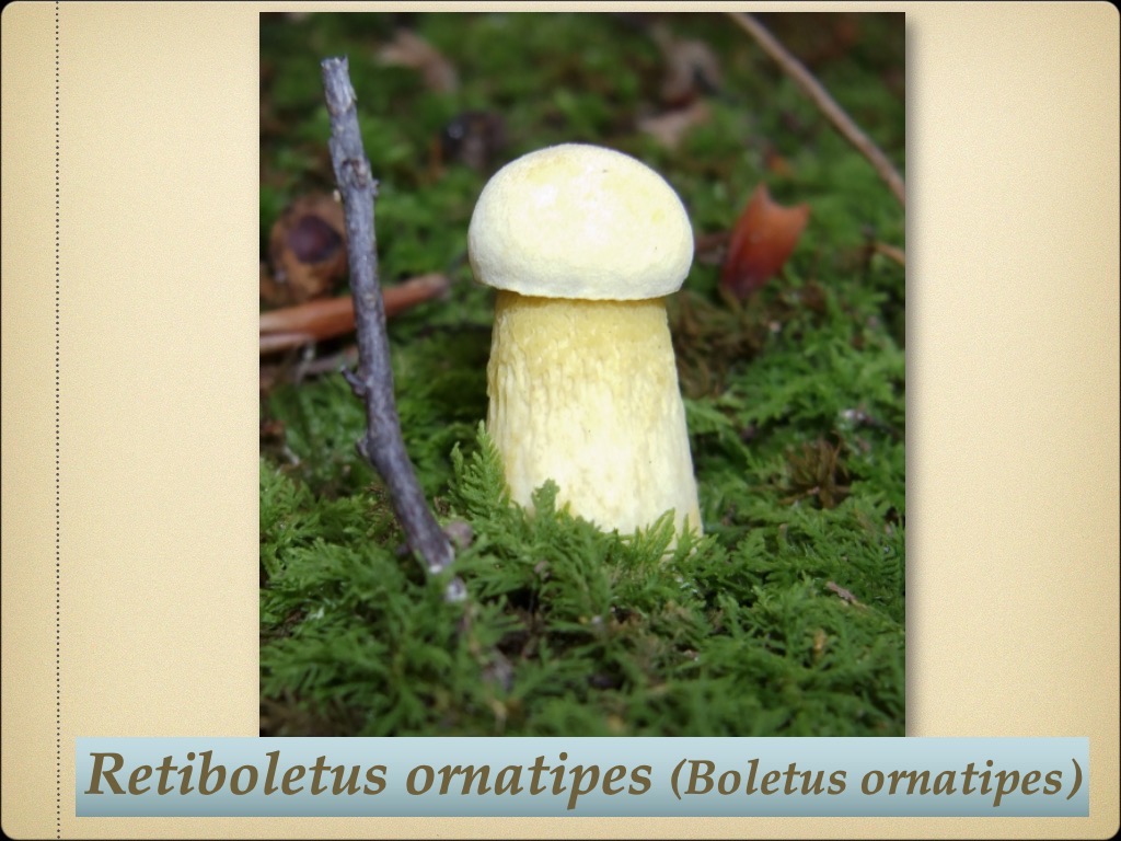Slide83