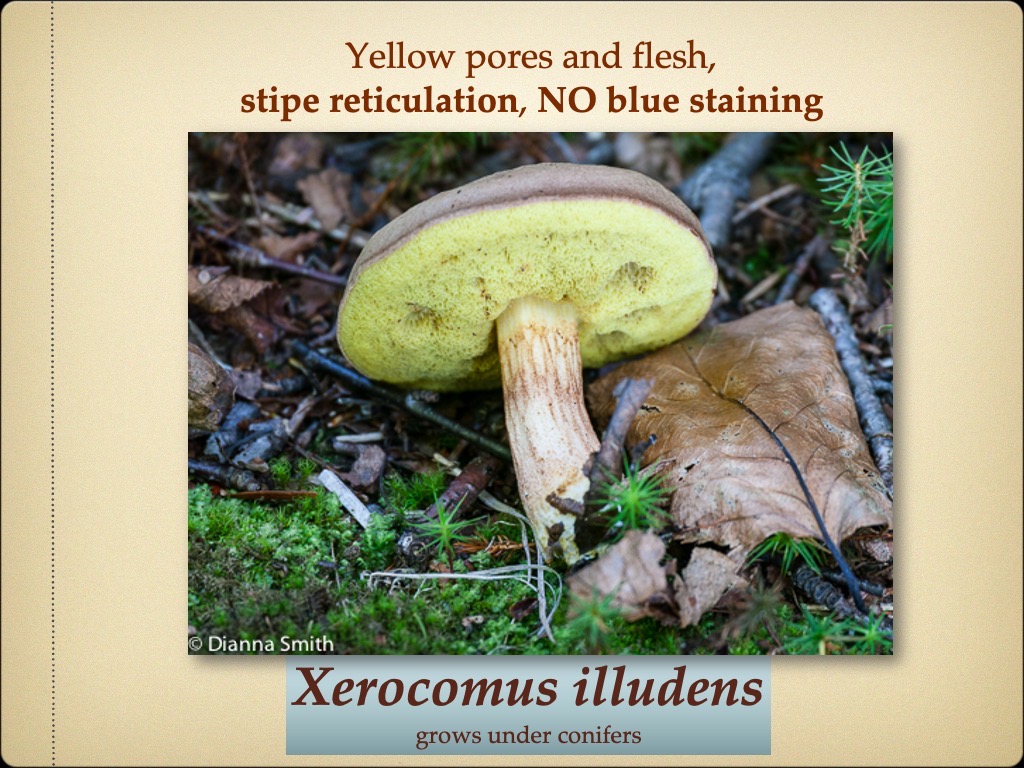 Slide84