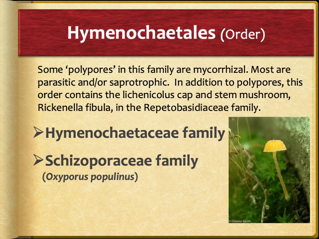 Slide84
