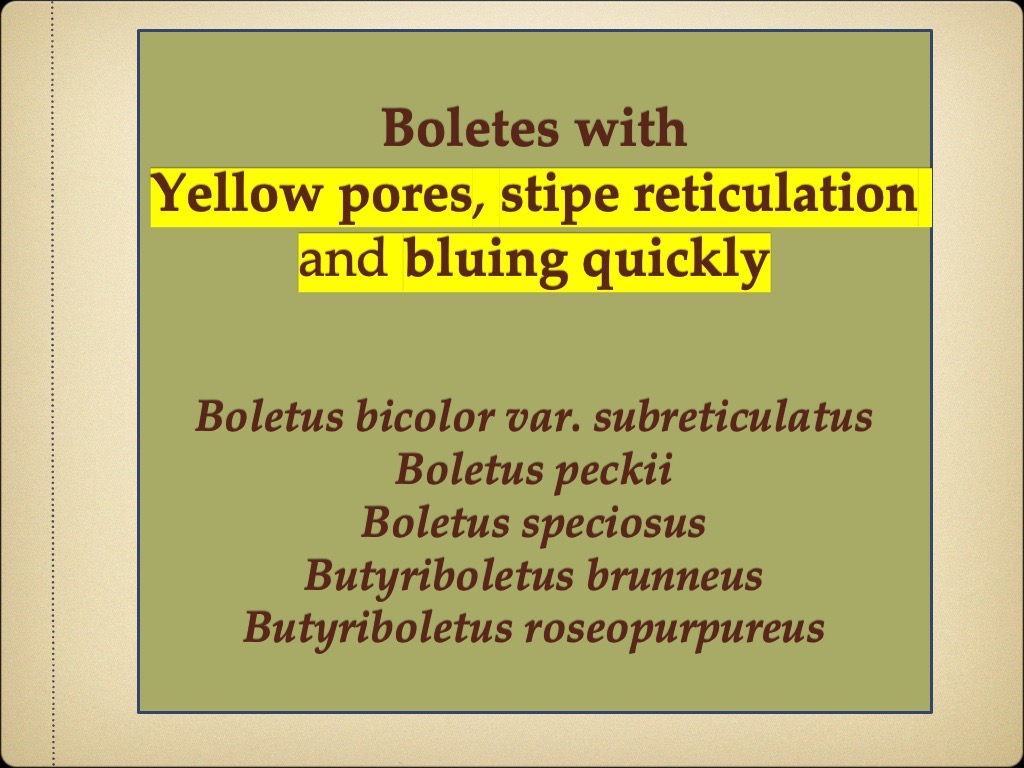 Slide86