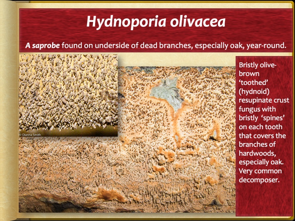 Slide86