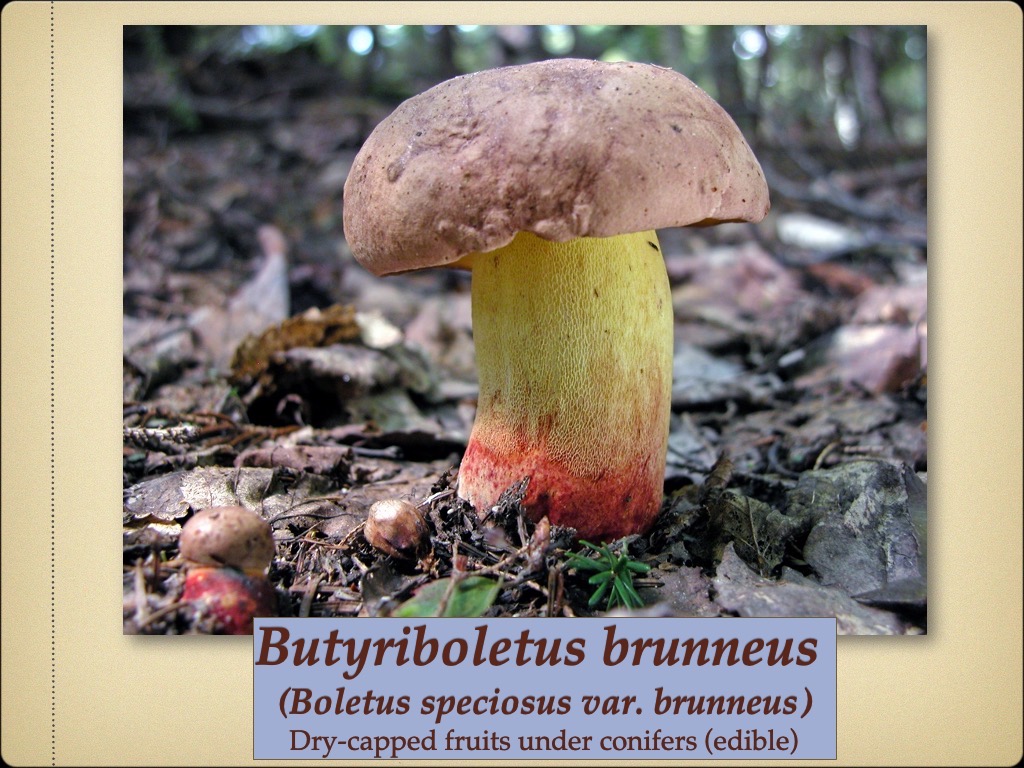 Slide87