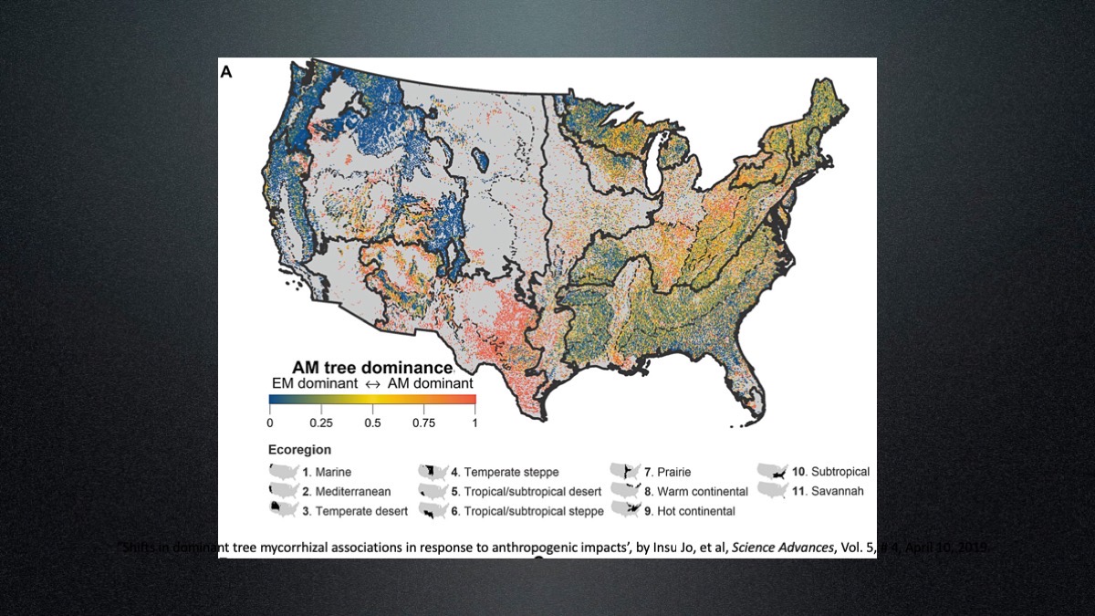 Slide87