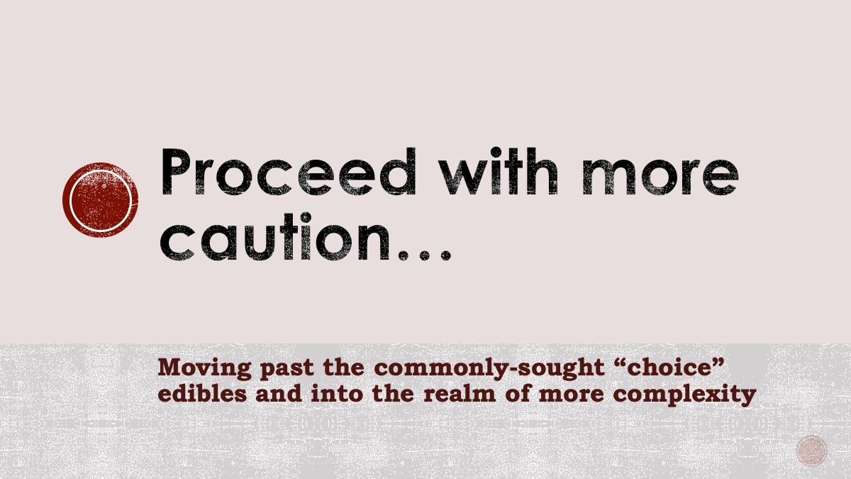 Slide88