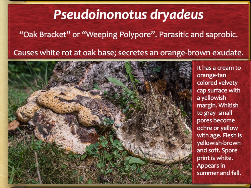 Slide88