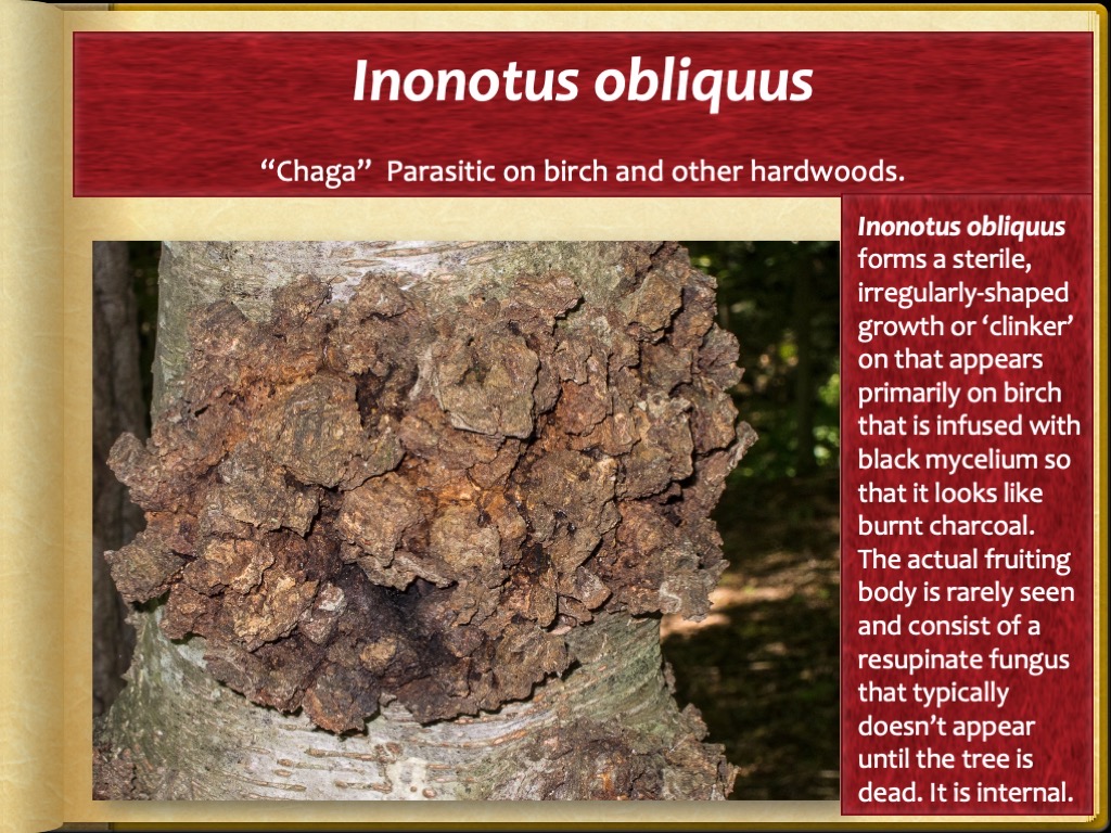 Slide89