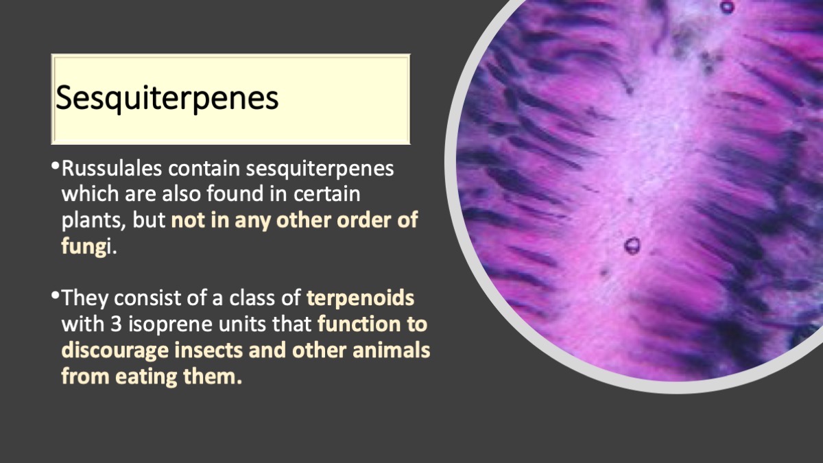 Slide9