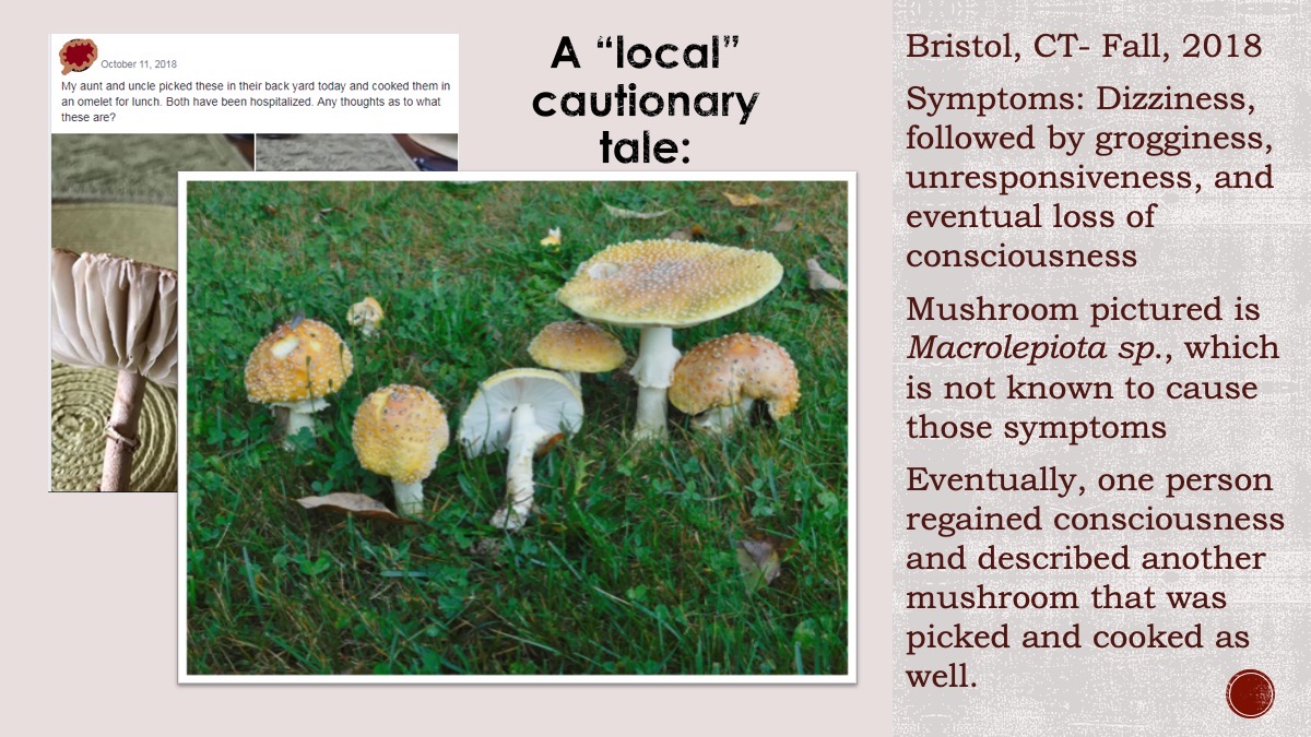 Slide9