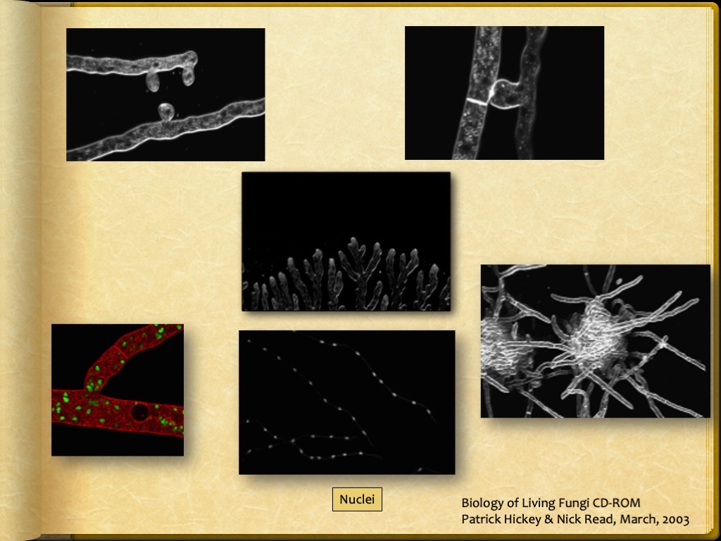 Slide9