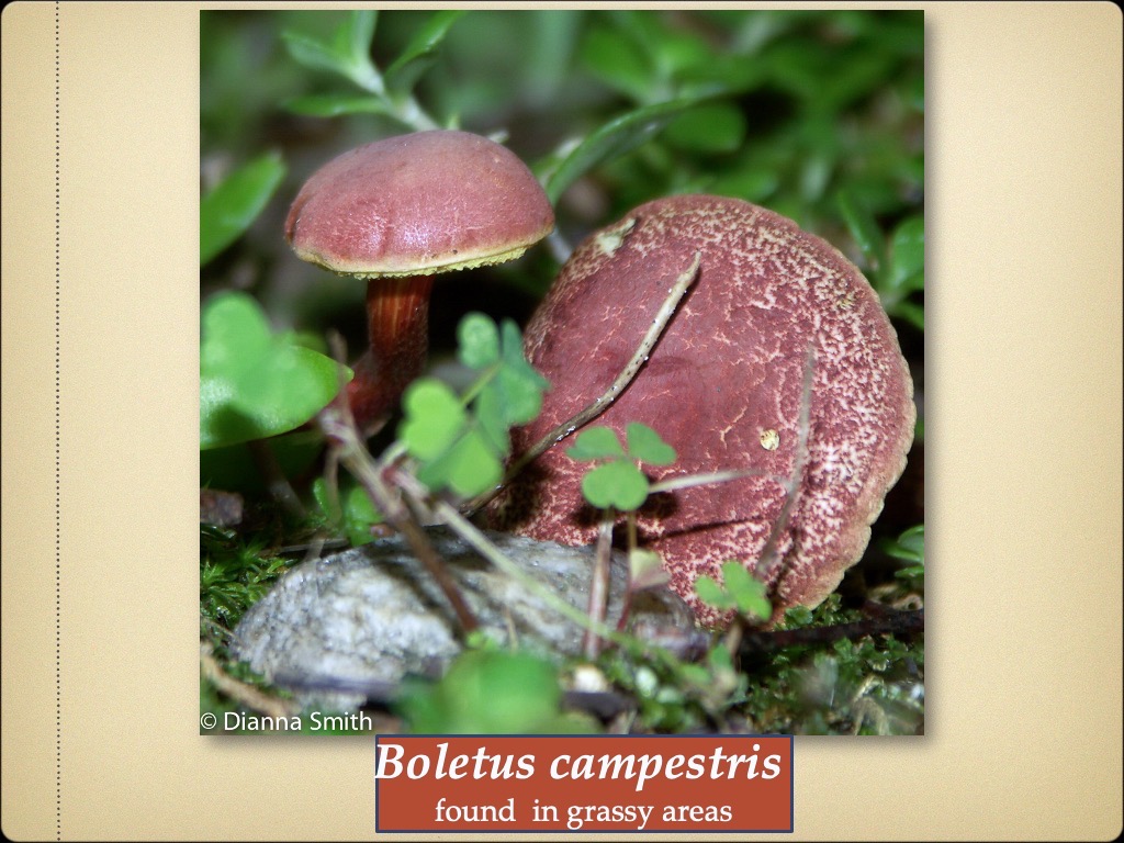 Slide91