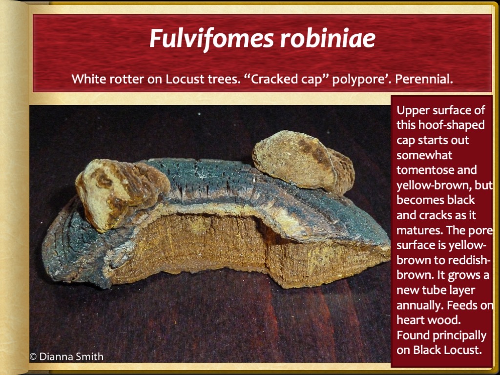Slide91