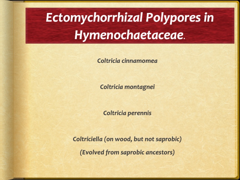 Slide92