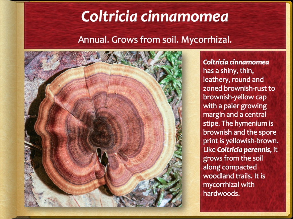 Slide93