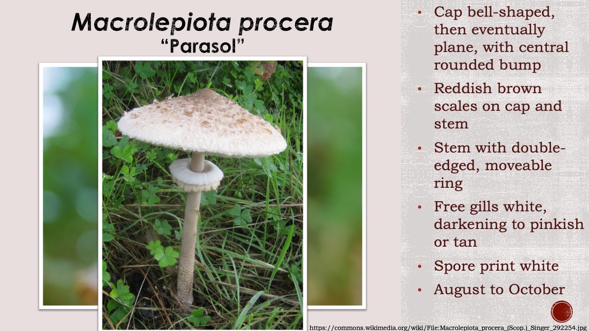 Slide94