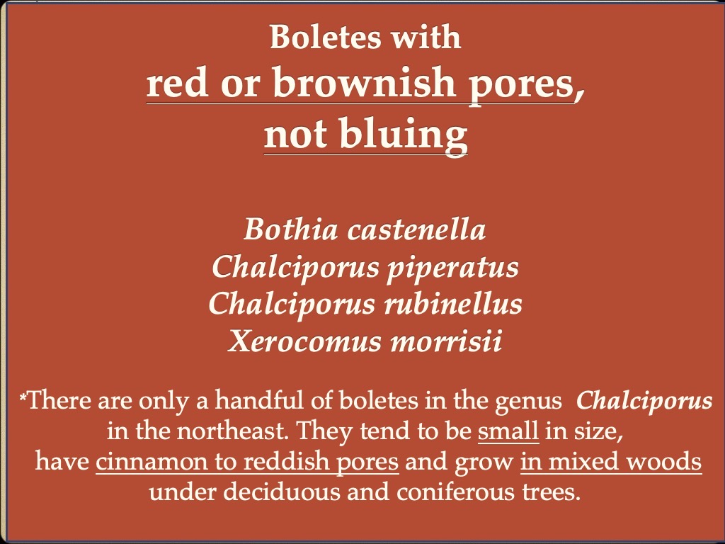 Slide95