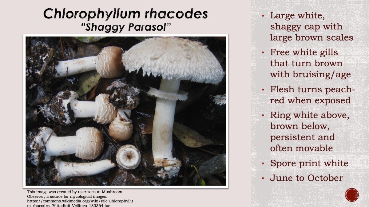 Slide95