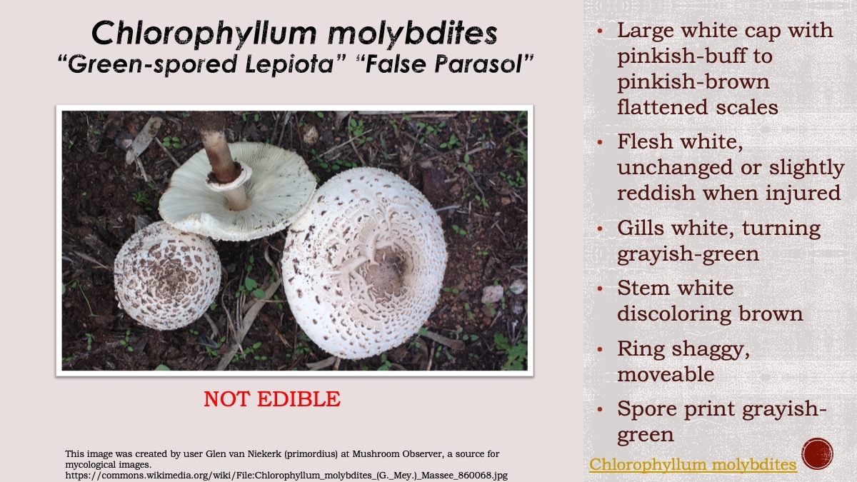 Slide96