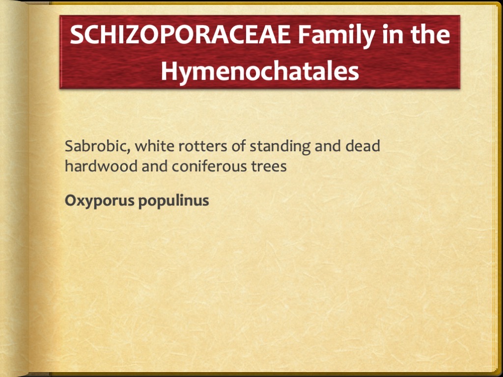 Slide96