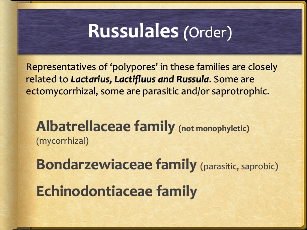 Slide98